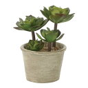 人工観葉植物 光触媒 観葉植物 おしゃれ フェイク イミテーション インテリアグリーン インテリア イミテーショングリーン お祝い ギフト 開店祝い 植物 高さ16cm フェイクグリーン 新築祝い アガベポット アートグリーン 母の日 人工植物 消臭 抗菌 防汚