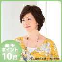 【送料無料】ハイパック(部分ウィッグ)ネットタイプ Tシリー...