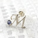 プラチナ ピアス メンズ イニシャル ネーム 片耳 M ピアス アイオライト アルファベット ピアス メンズ 人気 送料無料