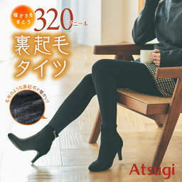 タイツ 裏起毛 厚手 防寒 暖かい あったか 毛布 肌色 ベージュ 320デニール アツギ <strong>ATSUGI</strong> 極厚 極暖 素足 美脚 冬 ストッキング レディース 黒 NL2632 女性 婦人 ブランド まるで毛布 着る毛布