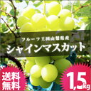 シャインマスカット 1.5kg 送料無料 山梨県 ぶどう 山梨産 ブドウ ぶどうばたけ