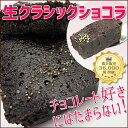 生クラシックショコラ《濃厚!焼き生チョコレートケーキ》【スイーツ お菓子】【ガトー ショコラ】【チョコレート菓子】【ギフト】【冷凍・冷蔵】【葡萄の里】