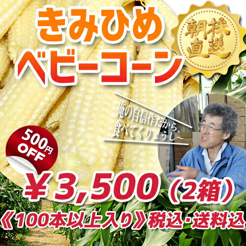 【5月16日〜出荷予定！】希少！朝採りとうもろこし。きみひめベビーコーン（50本以上入り×…...:attaatta:10001309