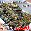 牡蠣140個前後/訳あり/ハネ/北海道/釧路町仙鳳趾/生牡蠣 8キロ 姫牡蠣 商標登録 第6077570号