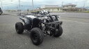 ATV ¥Ð¥®¡¼¡¡¥Ï¥Þ¡¼¥¿¥¤¥×¿·¼ÖA-1