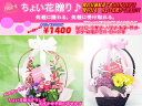 【本州送料無料】バスケット入おまかせ季節の寄せカゴ?Sweet【誕生日に】【お祝いに】【敬老の日に】【寄せ鉢】【花苗寄せ】【楽ギフ_包装】