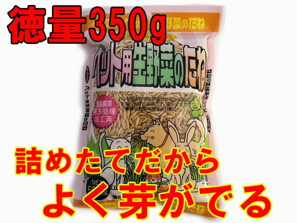 【生産直売特価】【無農薬種子】【高発芽率種子】猫草の種・犬草の種 徳量350g【コンビニ受…...:auc-87navi:10000003