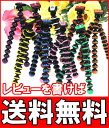 プレゼントあり！【送料無料】☆どこでも三脚☆くねくね三脚自由自在！9色♪クネクネ三脚・ゴリラポッドより安い！レビューを書いて送料無料！どこにでも設置可能な三脚です、デジカメ専用