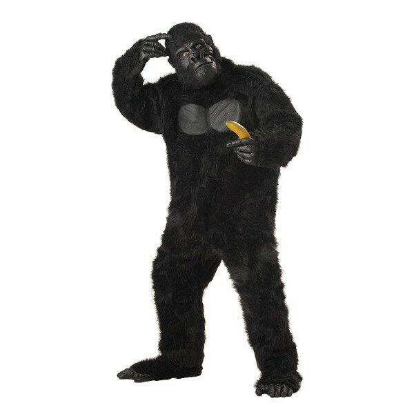 GORILLA S@@݁@ߑARX`[@ljp