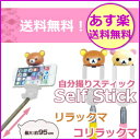 【NY】【あす楽送料無料】Self Stick リ