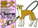 送料無料 イタリアングレーハウンド茶 愛犬ストラップ金属チャーム Ad036