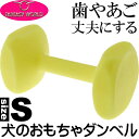送料無料 ペット用ダンベル 競技 訓練に トレーニングダンベ...