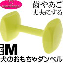 送料無料 ペット用ダンベル 競技 訓練に トレーニングダンベ...