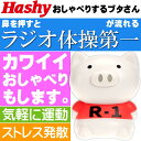送料無料 タイソーブーブー R1 ラジオ体操第一が流れる O...
