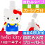 送料無料 ハローキティ ブローボトル 直のみ水筒 PBSD5 キャラクターグッズ お子様用水筒 ウォーターボトル Sk713