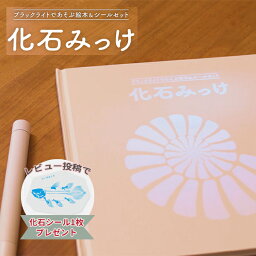 レビュー特典付き！絵本とシールを組み合わせた新しい体験型絵本＆シールセット「化石みっけ」 読み聞かせ ジュラシックパーク 化石探検 恐竜絵本 図鑑 宝探し 知育玩具 誕生日プレゼント マクアケ Makuake　【box】【ehon】