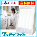 「グッデイライト」 太陽光 ライトセラピー 10,000ルクス ブライトライト ウェイクアップライト ソーラートーン me グリナ グリシン 器具 機器 フィリップス コスモブライト 高照度 照明 Nature Bright