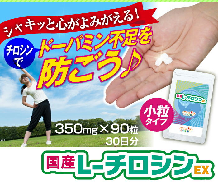 チロシン サプリ メンタル 国産L-チロシンEX (350mg×90粒) 1ヶ月分 サプリメント L-チロシン メンタルヘルス アミノ酸 サプ サプリメント セントジョーンズワート トリプトファン グッデイライト メール便対応可