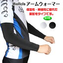 Wellcls アームウォーマー (両腕2枚組) 裏起毛 フ...