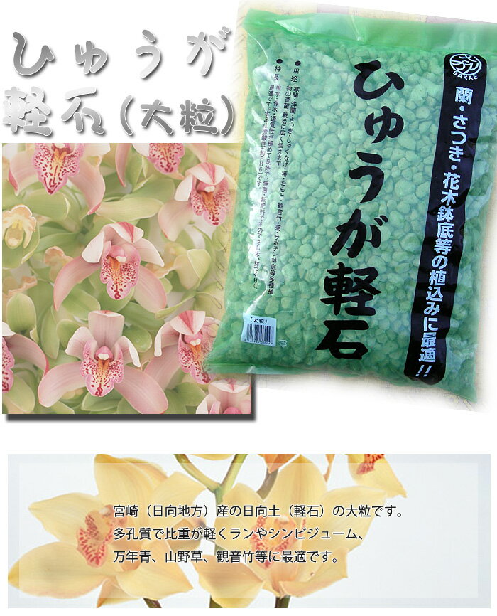 蘭（ラン）やサツキ、山野草に　鉢底石にも日向土　軽石　大粒　18L　10P123Aug12【SBZcou1208】