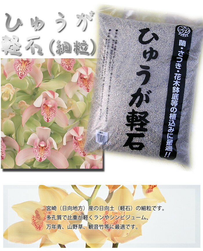 蘭（ラン）やサツキ、山野草に　鉢底石にも日向土　軽石　細粒　18L　【RCPmara1207】【マラソン201207_生活】