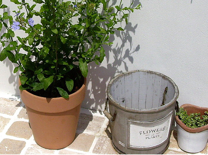 【直輸入だから低価格！】　イタリア製テラコッタ　植木鉢アンティークトールポット　22cm*Italian Terracotta*