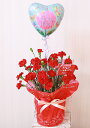 赤いカーネーション鉢花＆バルーン母の日にはカーネーション！バルーンフラワーで！もちろん送料無料！