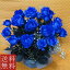 バラのアレンジメント【ブルーローズ】 20本【青いバラ】【誕生日　花】
ITEMPRICE
