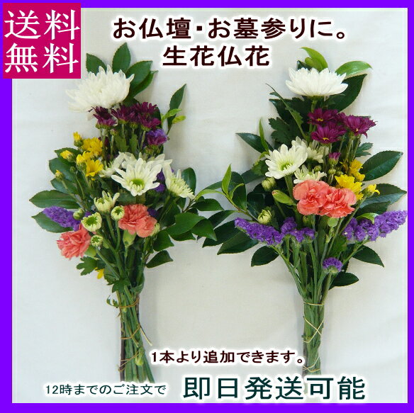 お供え花 生花【仏花】 墓花　1対 【お彼岸】【送料無料！】...:auc-bloomart:10001267