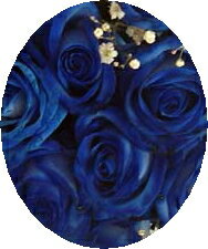 ブルーローズ・青いバラ！