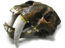 化石 骨格標本 レプリカ サーベルタイガー スミロドン 頭蓋骨 恐竜 インテリア 置物 古生物学