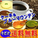 ★送料無料★選べる!人気のチーズケーキ2個と特選ブルーマウン...