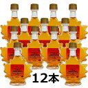 100% ピュア メープル シロップ 50ml カエデ瓶 ダークロバストテイスト(旧ミディア