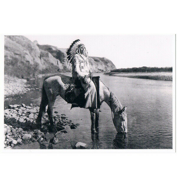 ネイティブ ポストカード 写真 カナダ 先住民 インディアン 雑貨 [ BLACK FOO…...:auc-canadian:10011603
