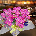 \遅れてごめんね 敬老の日/ 開店祝い 胡蝶蘭 敬老の日 造花 装飾 5本立 ワイン ミニ 光触媒 ミディ ワイン アイビー 開業 高級 ギフト 誕生日 ラッピング フェイク クラブ bar 居酒屋 バーテンダー ラメ