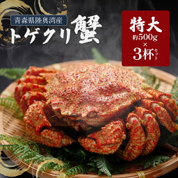 <strong>特大</strong> トゲクリガニ 3杯セット 約1.2kg (約400g×ボイル済み オス3杯) 送料無料 【冷凍】 青森県 陸奥湾産 トゲクリ蟹 花見蟹 桜蟹 プロトン凍結 トゲクリカニ くりがに 蟹 かに カニ 食品 グルメ 通販 お取り寄せ 父の日 父の日ギフト 花見 お中元