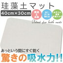 珪藻土バスマット 珪藻土 マット Mサイズ 40×