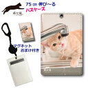 【200円OFFクーポン有】 パスケース リール付き 定期入れ 通学 子供用 中学生 高校生 女の子 【飛び猫 五十嵐健太】 定期ケース レディース メンズ カード ケース タテ 型 動物 アニマル柄 猫 ねこ ネコ 子猫 ペロペロ 水を飲む かわいい おまけの マグネット付き