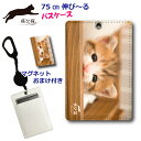 【200円OFFクーポン有】 パスケース リール付き 定期入れ 通学 子供用 中学生 高校生 女の子 【飛び猫 五十嵐健太】 定期ケース レディース メンズ カード ケース タテ 型 動物 アニマル柄 猫 ねこ ネコ 子猫 遊んで欲しいな かわいい おまけの マグネット付き