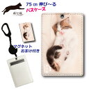 【200円OFFクーポン有】 パスケース リール付き 定期入れ 通学 子供用 中学生 高校生 女の子 【飛び猫 五十嵐健太】 定期ケース レディース メンズ カード ケース タテ 型 動物 アニマル柄 猫 ねこ ネコ 子猫 おやすみ おねんね かわいい おまけの マグネット付き