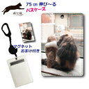 【200円OFFクーポン有】 パスケース リール付き 定期入れ 通学 子供用 中学生 高校生 女の子 【飛び猫 五十嵐健太】 定期ケース レディース メンズ カード ケース タテ 型 動物 アニマル柄 猫 ねこ ネコ ふくろう 後ろ姿 ニャンコとフクロウ おまけの マグネット付き
