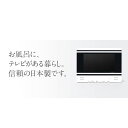 ツインバード工業 浴室テレビ 10インチ VB-BS103W 【VBBS103W】 TWINBIRD ホワイト 浴室液晶テレビ 10型液晶・地デジ・BS・110°CS・防水