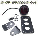 バードゲージ テール サイドナンバー キットUS仕様(ブラック)ハーレー ドラッグスター等