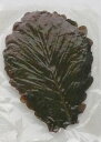 ■ 柏葉 (茶・ちゃ) 50枚■【和菓子材料】
