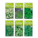 ベランダ菜園やプランター栽培にお勧め!!お手軽に栽培が楽しめます。選べるハーブ種子6種類セット【ハーブ】【種】【送料無料】