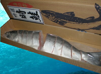 渵٤줿ˡֻĽ븫񤤡̳ƻ ƻ졡߻