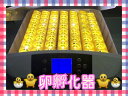 送料込み!最大56個 全自動孵卵器 孵卵機 ふ卵器 孵化器 インキュベーターy