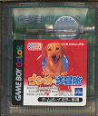 GBC ゴン太のおきらく大冒険 （カラー専用・ソフトのみ）【中古】