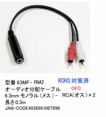 6.3mmm(X)RCA(IX)x2ϊP[u/0.3m