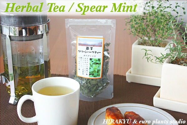 蔵王ハーブ専門農園生産!!完全無農薬ハーブティーHerbal Tea/Spear Mintハーブティー/スペアミント料理/キッチン/お茶美容/美肌/安眠/爽快感【送料無料】